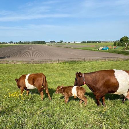 Herberg Boerderij De Straat-Hof Bed & Breakfast Leimuiden Екстериор снимка
