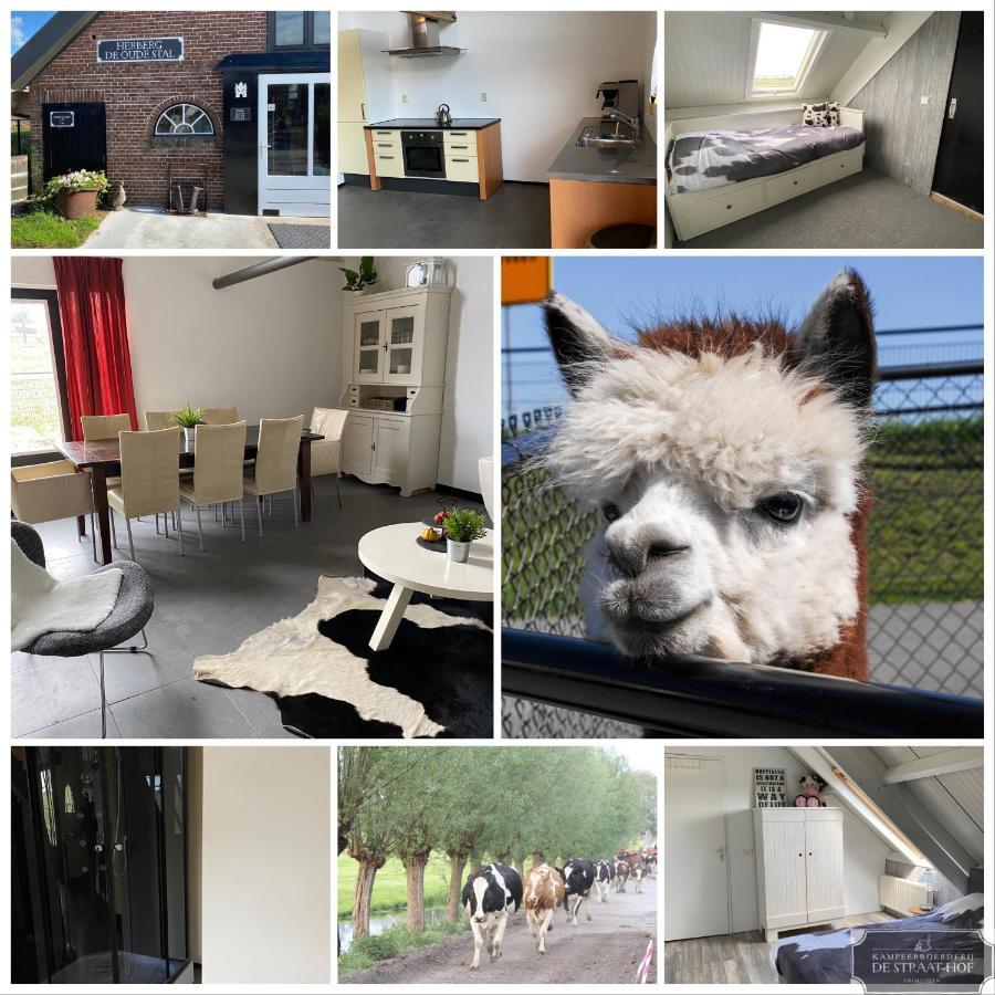Herberg Boerderij De Straat-Hof Bed & Breakfast Leimuiden Екстериор снимка