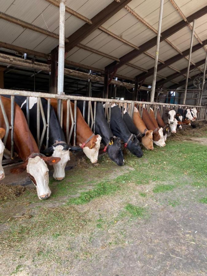 Herberg Boerderij De Straat-Hof Bed & Breakfast Leimuiden Екстериор снимка
