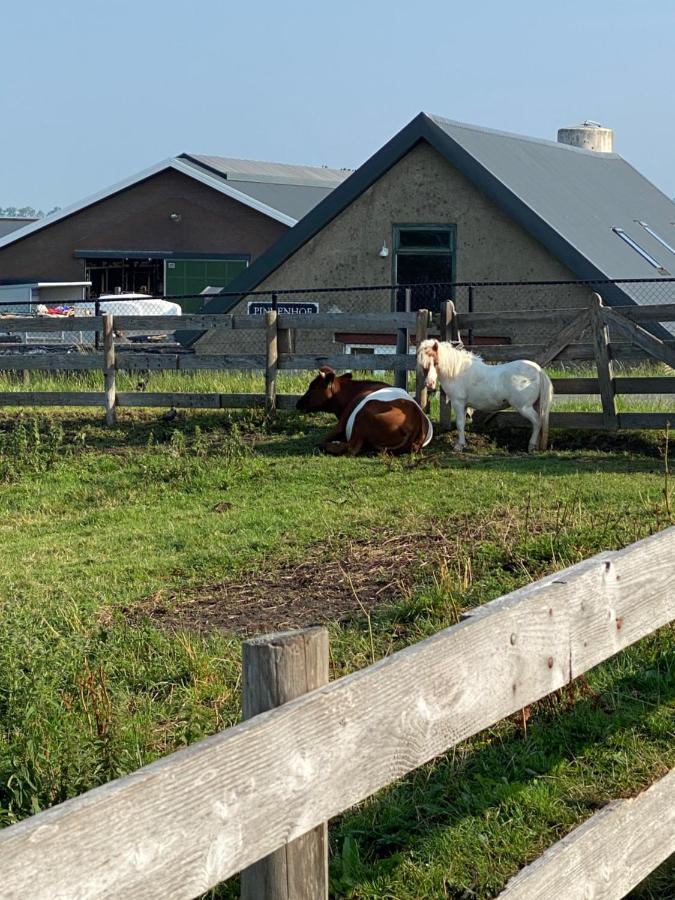 Herberg Boerderij De Straat-Hof Bed & Breakfast Leimuiden Екстериор снимка