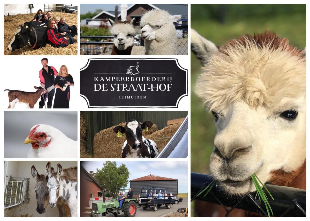 Herberg Boerderij De Straat-Hof Bed & Breakfast Leimuiden Екстериор снимка